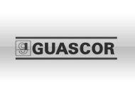 Guascor
